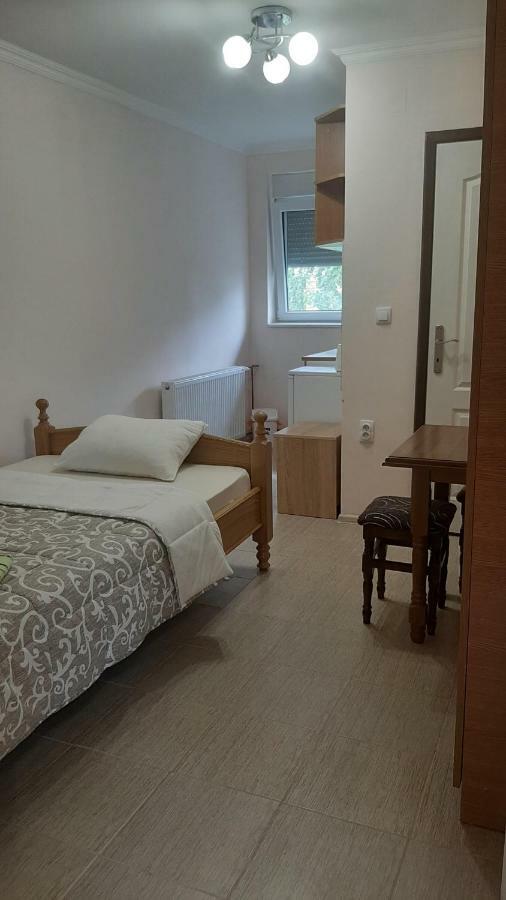 Aleksandar Vila Br Vrdnik Chambre photo